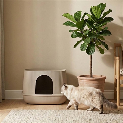 Kattlåda